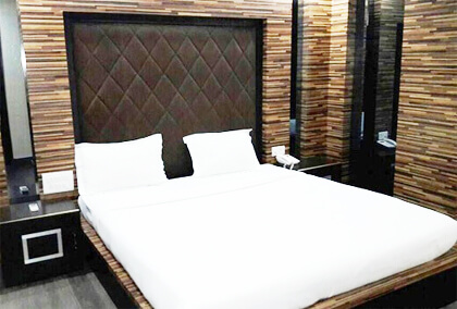 hotel ashoka grand